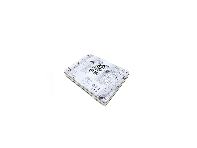 355x255x55白色大伊林手提箱,手挽铁罐